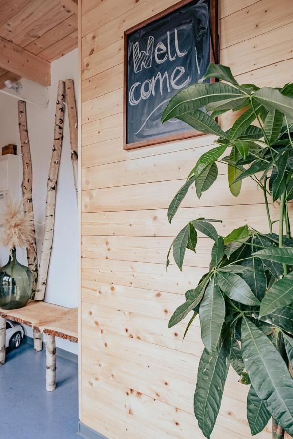 Hostel Oder Ferienwohnung 1-16 Personen Im Blauen Haus フェーマルン エクステリア 写真